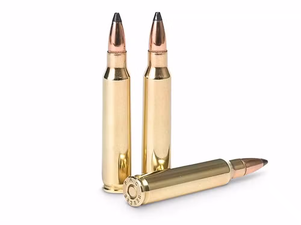 223 Rem 55 grain HP Match